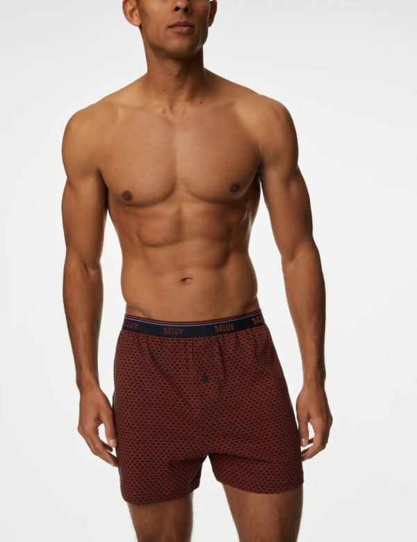 Long Boxer - Image 2