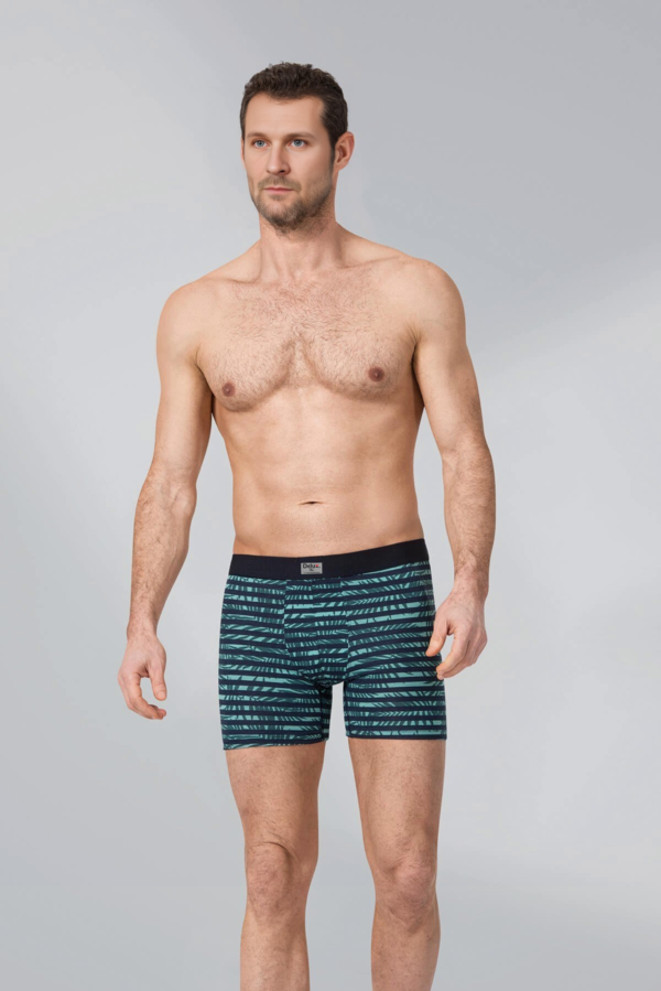 Boxer - Image 2
