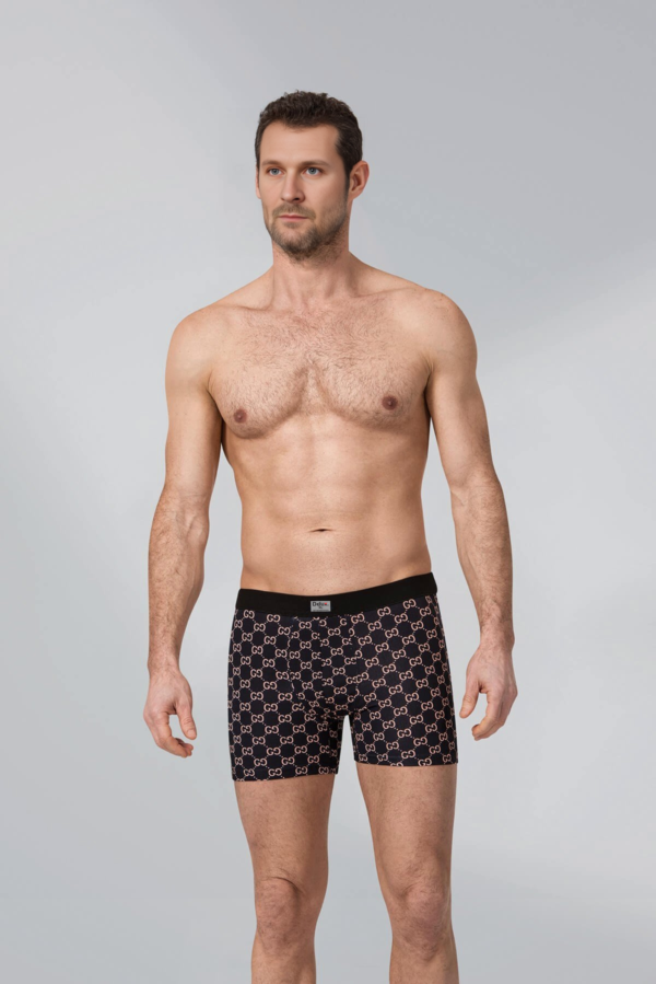 Boxer - Image 3