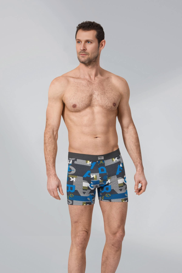 Boxer - Image 4