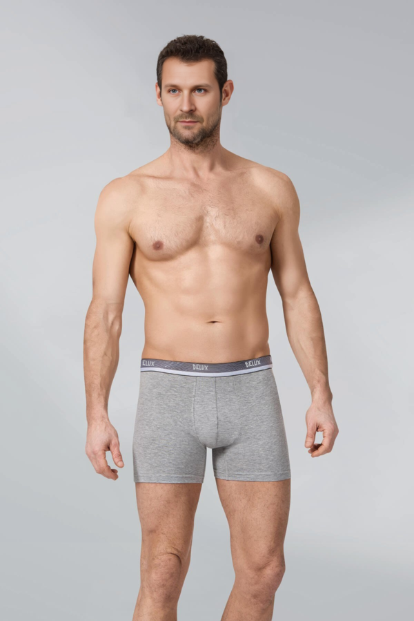 Lycra Boxer - Image 2